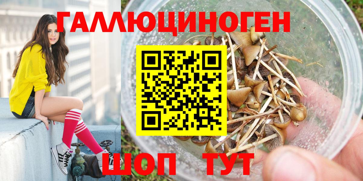 Жигулёвск  Галлюциногенные грибы MAGIC MUSHROOMS  Галлюциногенные грибы GOLDEN TEACHER  Вход с VPN 